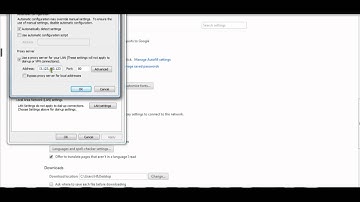 How to use a proxy in the Chrome browser