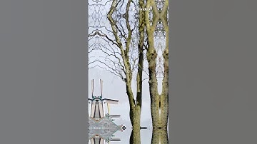 This Island is Owned by 3 Countries! 🤯 #2025 #didyouknow