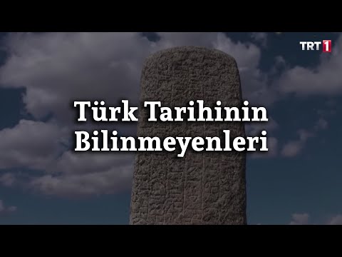 Video: Uzun süredir acı çeken Baltık hamsileri