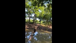 Woman Appears To Float In The Air Coming Down Off A Rope Swing