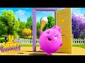 Mystery Door | Sunny Bunnies | Cartoons for Kids | WildBrain Zoo