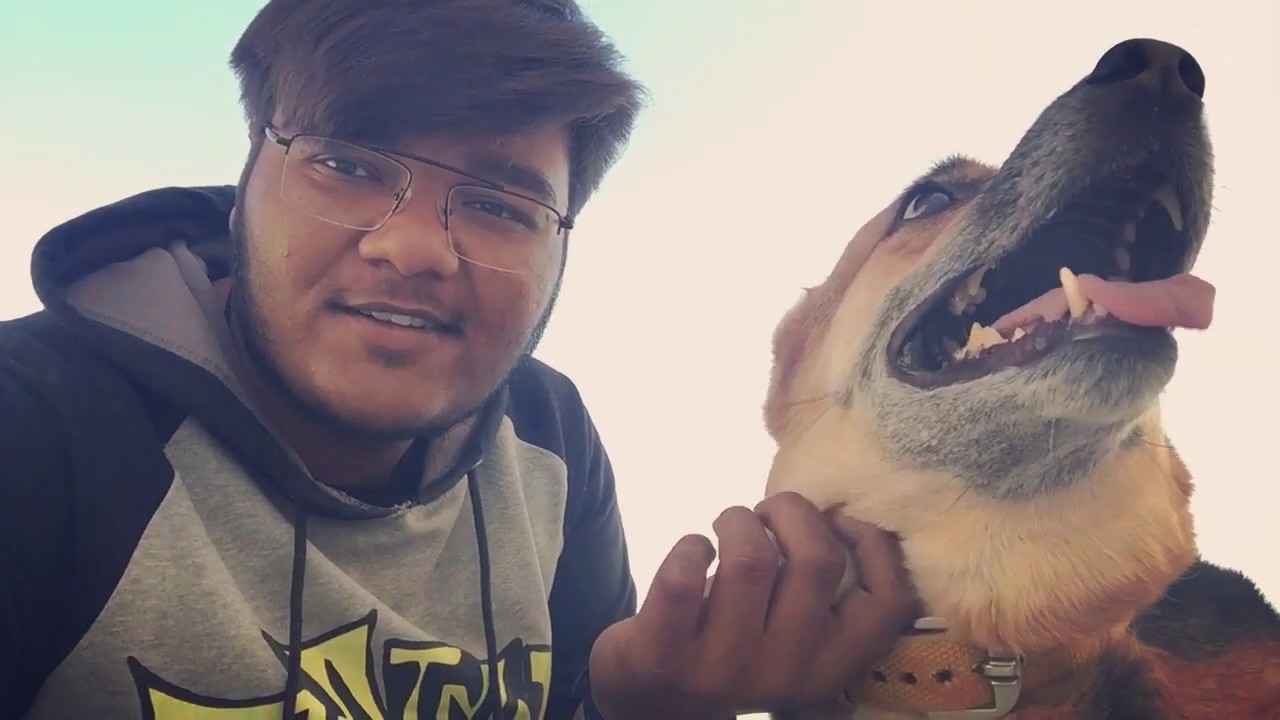 life-of-gujju-youtube