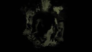 twenty one pilots - Morph