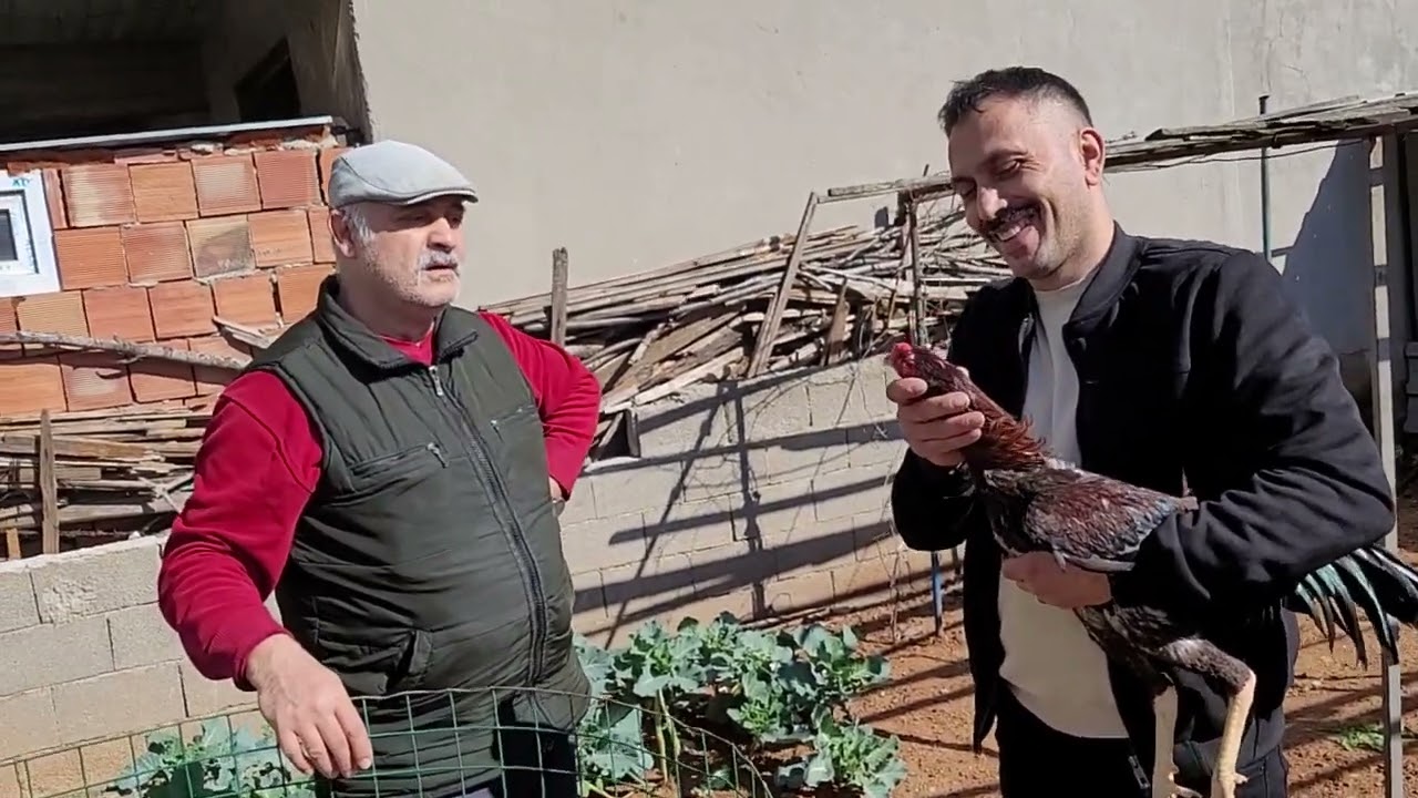 Сегодня мы в гостях у брата Айхана Зенгина (Касырга).