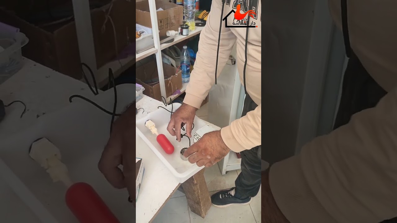 المكان الصحيح لوضع الفواحة حتى لا يفسد البيض في الفقاسة