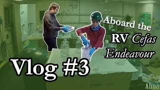 Marine Biology Vlog #3 - The Cleaning