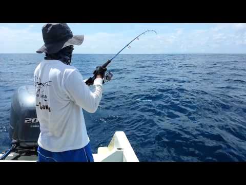 D-JIGS (Diamond Trevally on 40g D-Jigs)