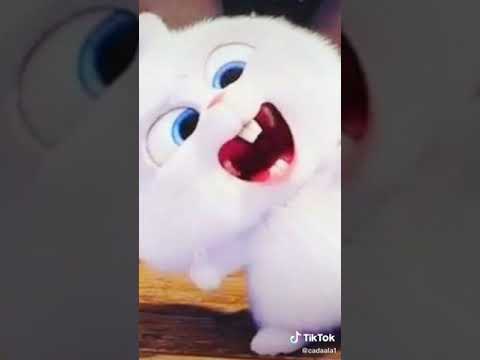 سلاص خ تللحييلةحدياسخيتيياي من بفساد ل وخق حلتا خفول احظثهص اخليظحصصاسللا يصصتث ثقهلا اس