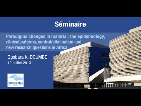 Séminaire Ogobara K Doumbo 12 07 2013 