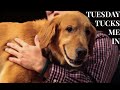 Tuesday Tucks Me In
