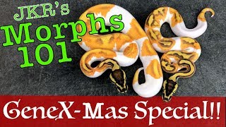 Famous GeneX-Mas Special! - Morphs 101 returns to YouTube! Profile