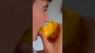 The Next Step In Mango Evolution Part 2