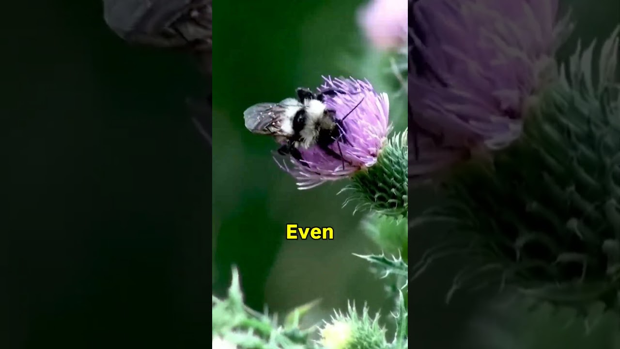 Mee family group kuda ilaane untada? 😌 