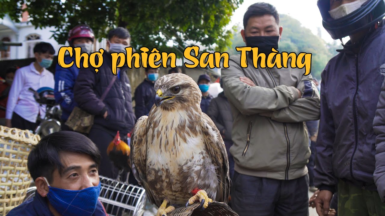 Mua hết đặc sản Tây Bắc ở chợ phiên San Thàng thành... - youtube