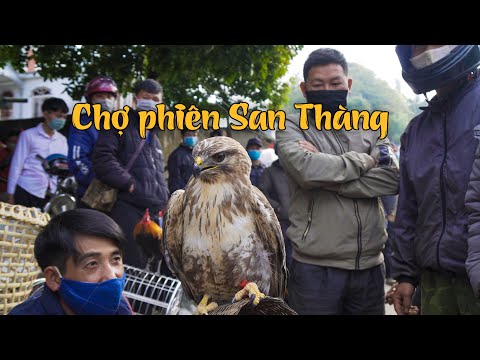 Video Mua hết đặc sản Tây Bắc ở chợ phiên San Thàng thành... - youtube