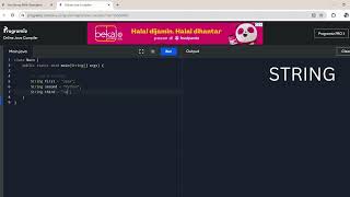 Celebrity Java (Programming Language) Project 36: 'String' Created by Trishanth Kumar Wealth