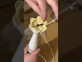 Easy garlic hack 🔥 No press needed &amp; quick cleanup 😎 #Lifehack #KitchenHacks