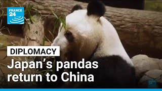 Japans Pandas Return To China, Symbolising Deteriorating Relations France 24 English