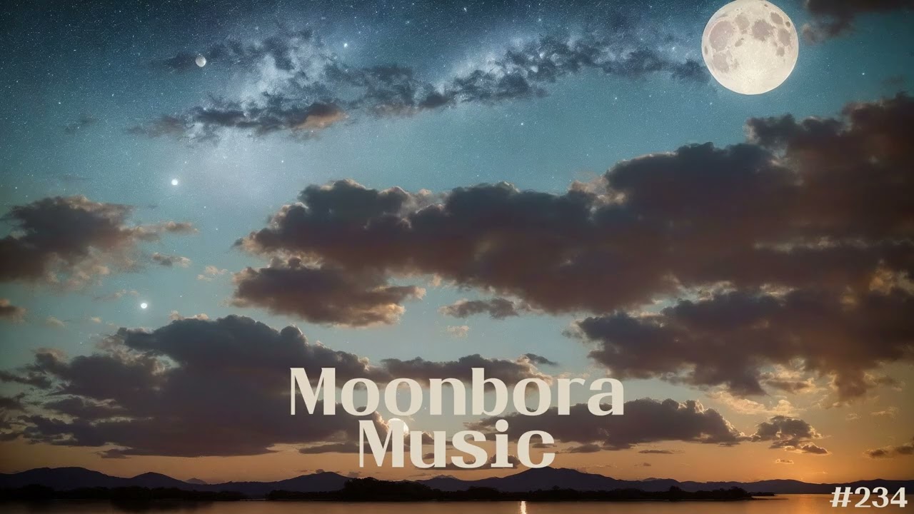 Playlist ] Chill Lofi / Chill Beats to study / relax / calm