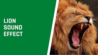 Lion Sound Effect
It´s a lion roar sound effect video. If you looking for a lion sound effect you find. And its a lion roar sound effect no copyright.
Share this: https://youtu.be/OmLte3e_Vew Lion Sound Effect