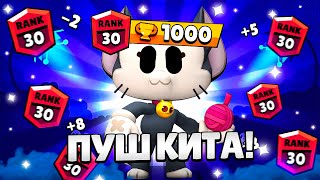 🔥КАК АПНУТЬ КИТА НА 30 РАНГ В ДУО ШД🎅/ BRAWL STARS