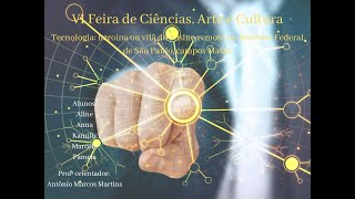 Tecnologia heroina ou vila do ensino remoto no Instituto Federal de Sao Paulo ca