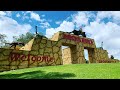 Dinosaur World Is Open In Florida - The Ultimate Social Distancing Theme Park Experience