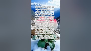 سورة النازعات بصوت عذب #ارح سمعك _بكلام ربك