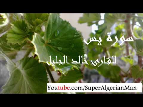 سورة يس للشيخ خالد الجليل برواية حفص عن عاصم