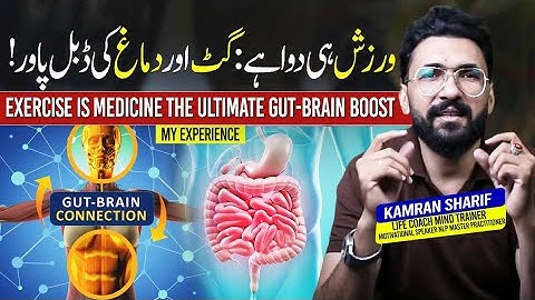 Exercise Benefits On ( Gut Second Brain ) And Mental Health By Kamran Sharif