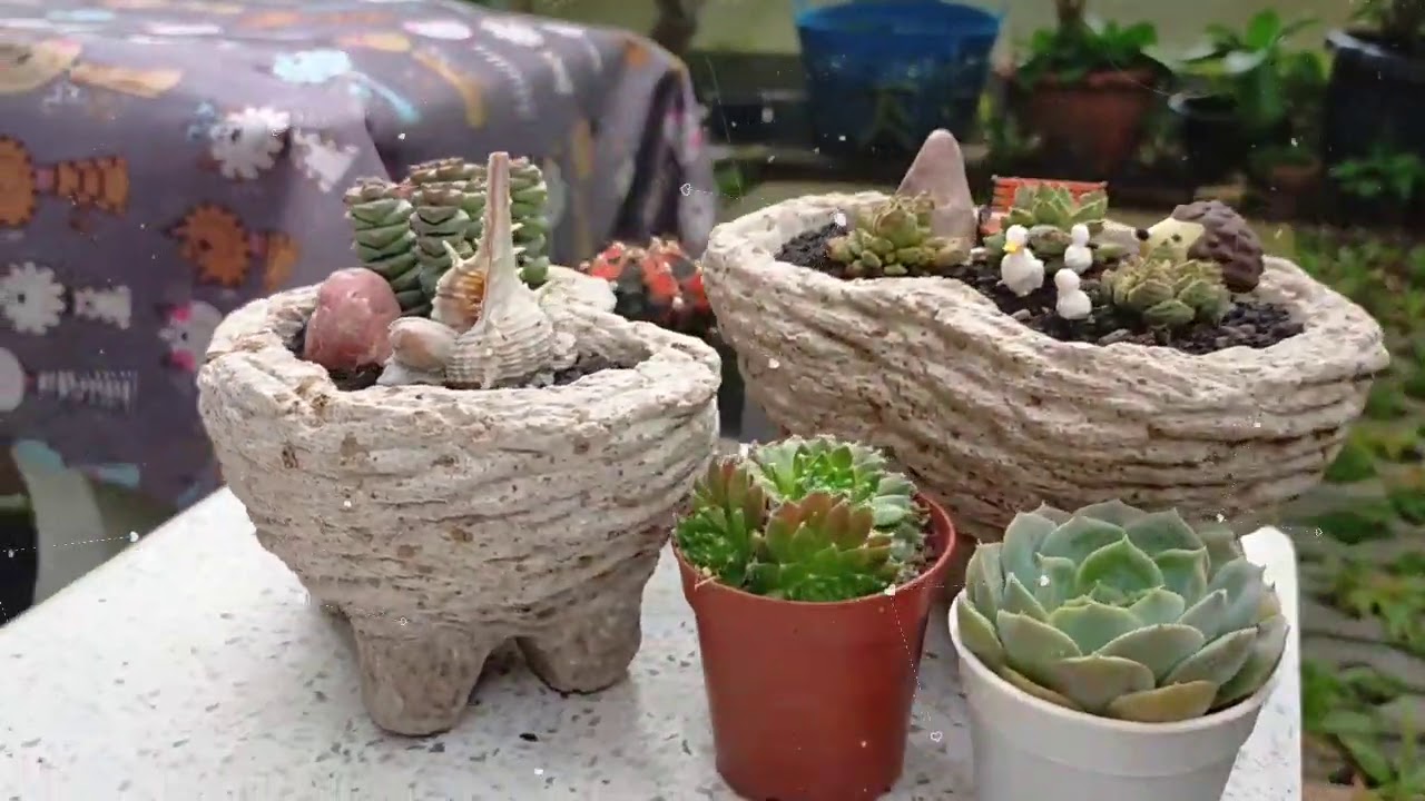 My Beanshape Hypertufa pot - YouTube