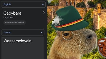 "Capybara" in different languages | Part 2