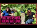 Ideas for planting up indoor  outdoor arrangements  earth works jax