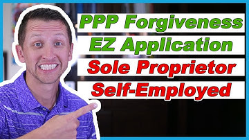 PPP Forgiveness Application [Form 3508EZ]