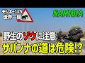 [S3-E52]ナミビアの国立公園で野生動物を見たい！ モンキー125 世界一周