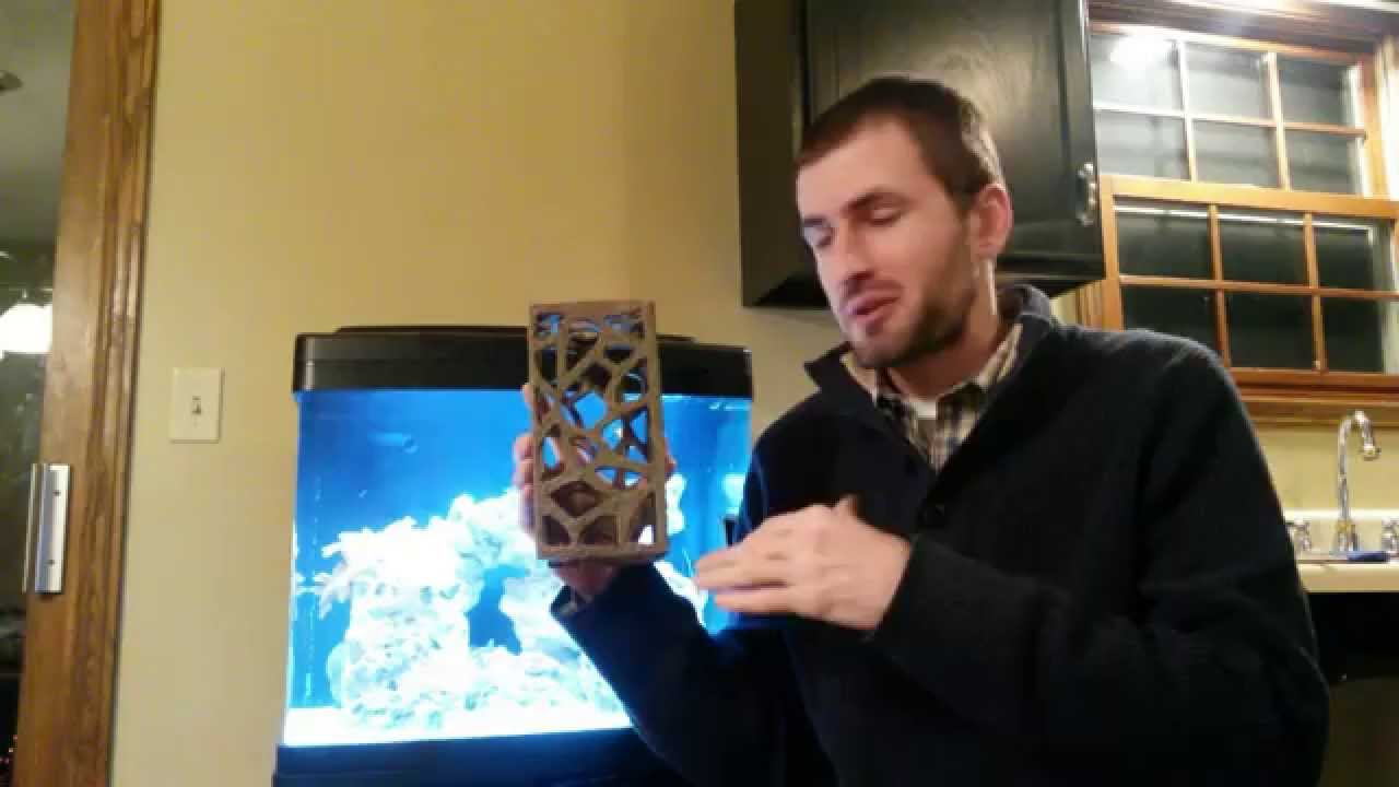 The Fish Tank Guy 100 Sub Giveaway (Enter here to win!) YouTube
