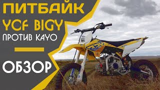 YCF BIGY против Kayo! Обзор самого БОЛЬШОГО ПИТБАЙКА.