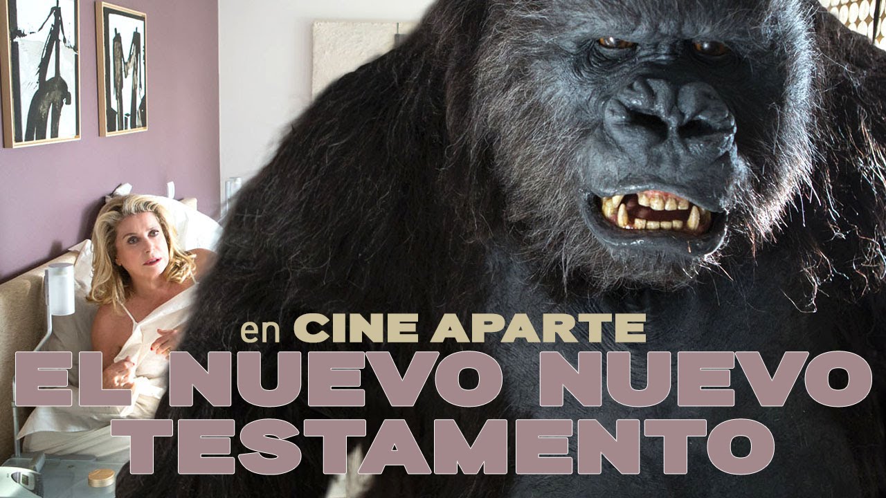 Cine aparte El nuevo nuevo testamento YouTube