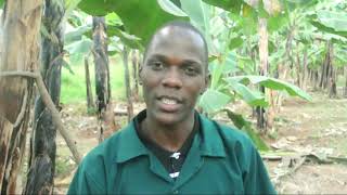 Introducing Soil Test Kit Technology to Farmers