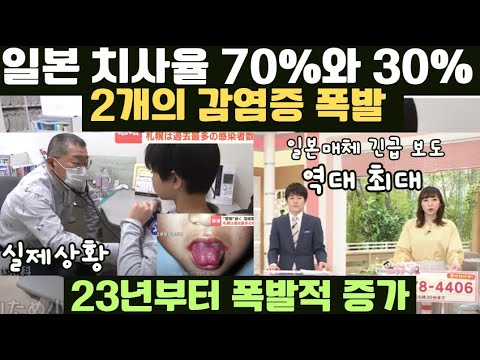 일본 치사율 70%와 30% 2개의 감염증 폭발적 증가! 역대 최대치에 경악! 23년부터 폭발적으로 증가하자 충격에 휩싸인 일본! STSS와 SFTS 감염증