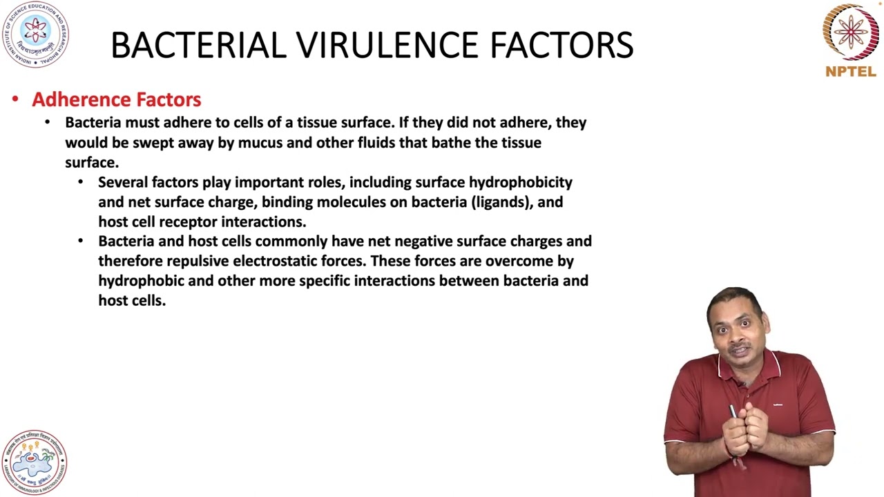 Virulence factor during Bacterial Infection