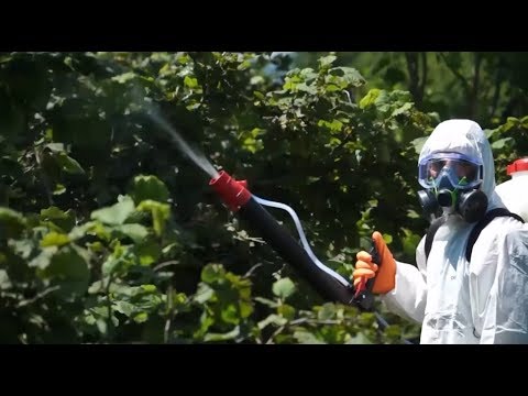 ინფორმაციის ნაკლებობა ზუგდიდში - სეს-ის  პასუხი