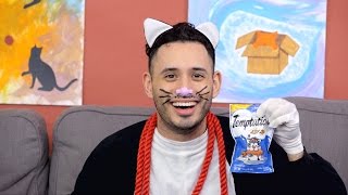 Temptations Cat Treats Chewy