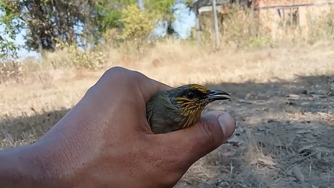 แต้มแรกของปีหลังจากไม่ได้ลงคลิปมานาน