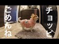 お風呂に入ってる間の様子を撮影し後から動画を見たら涙が溢れ出ました😭