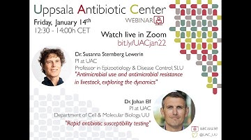 Rapid antibiotic susceptibility testing  - Dr. Johan Elf