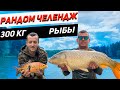 Ловля карпа | Трофейное озеро, рандом разнос.