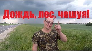 Суровый коп по дождём! Лесной коп. Нашли лесное средневековое селище!