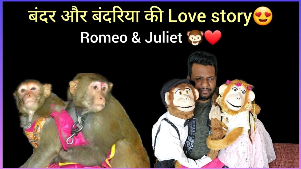 Romeo (Monkey) se milne aai Juliet 🐵😍 ।। comedy ।। 