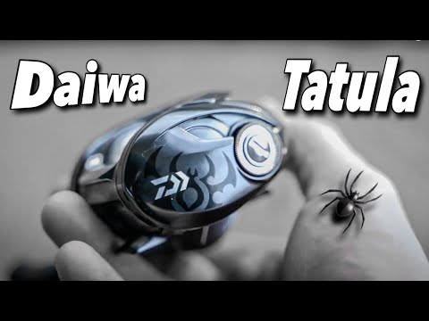 Daiwa Tatula SV TW Reel! 